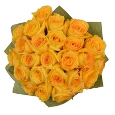 24 Yellow Roses